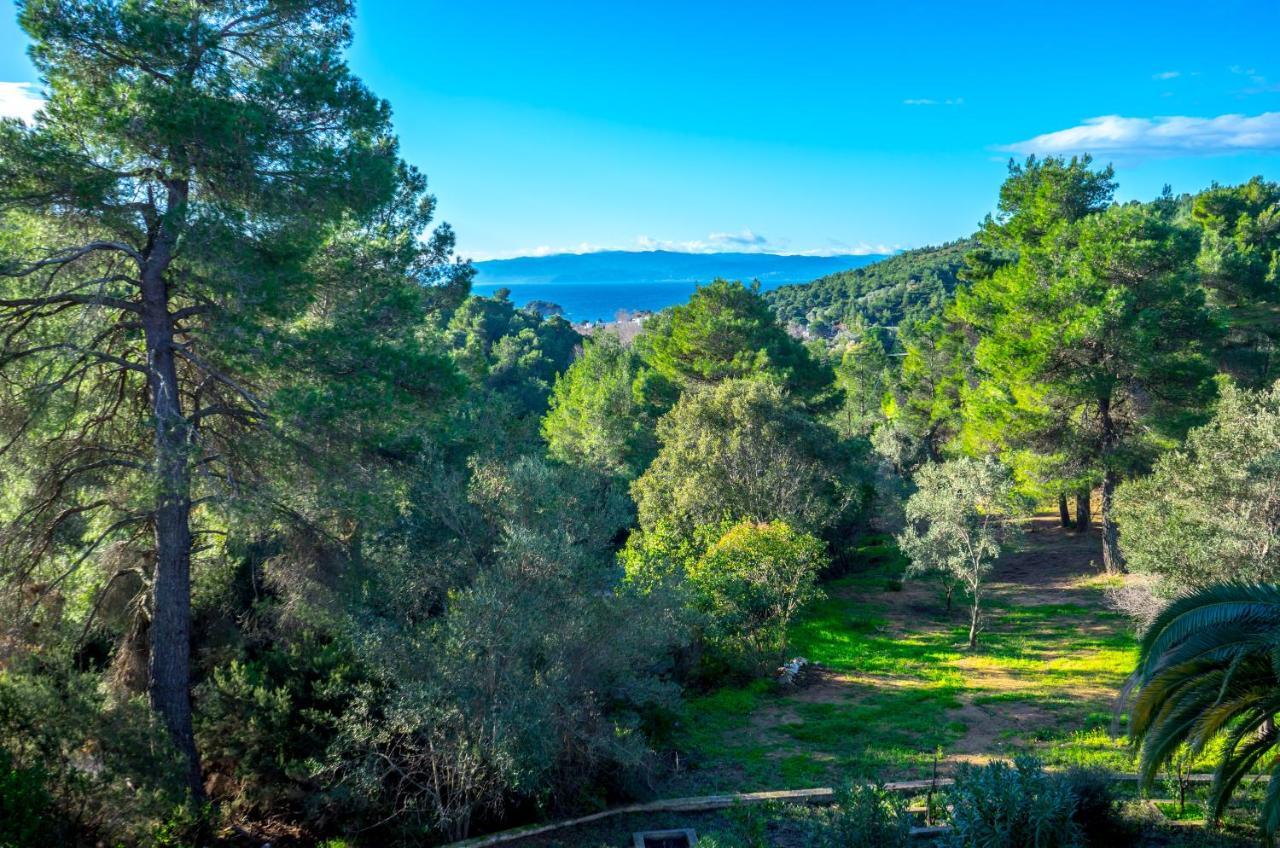 Forest Resort Suites Skiathos Troulos Buitenkant foto
