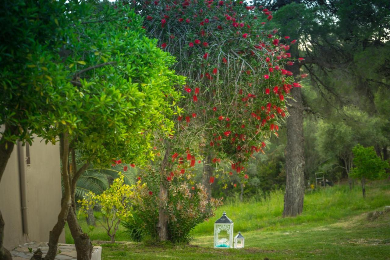Forest Resort Suites Skiathos Troulos Buitenkant foto