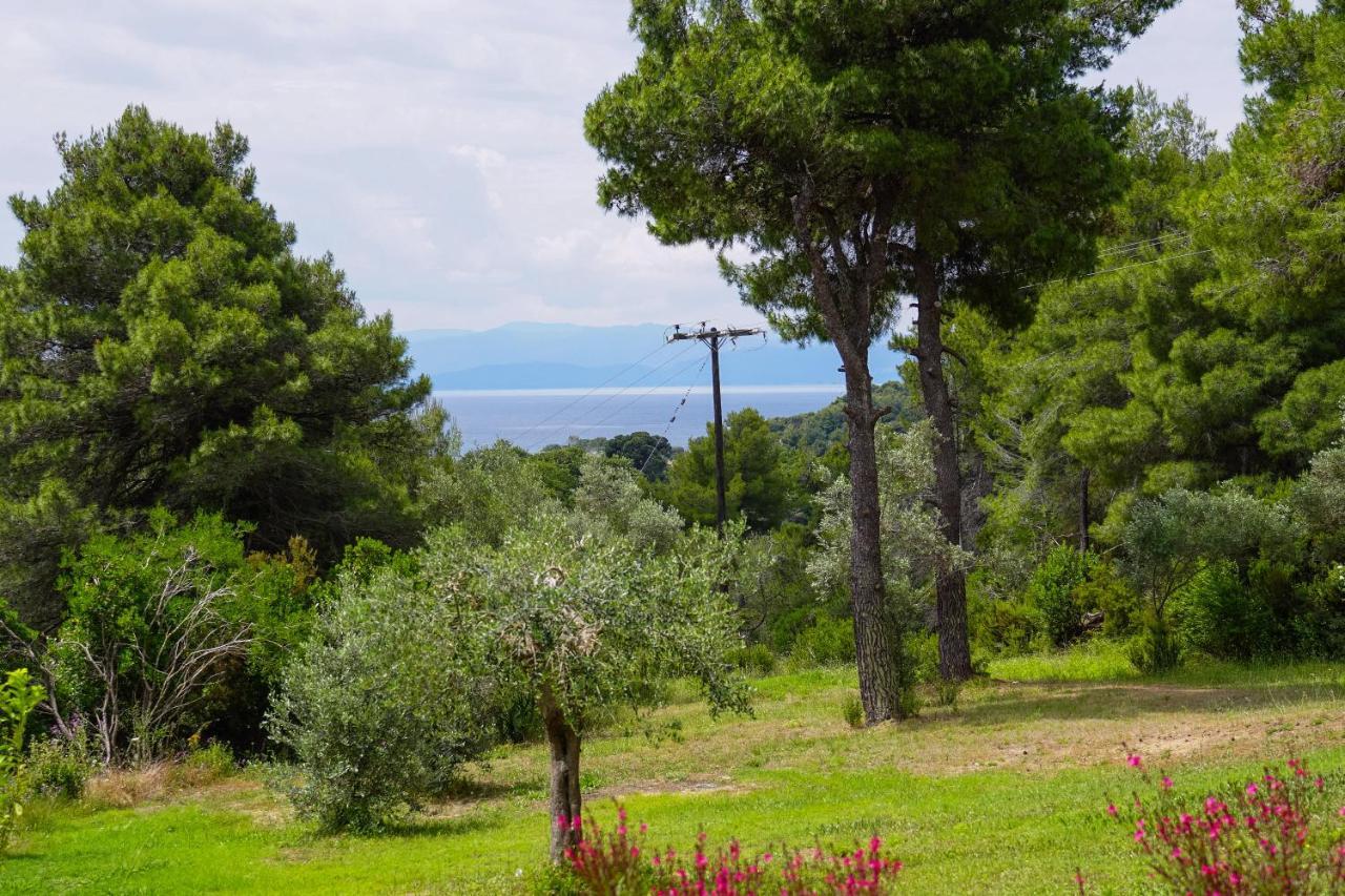 Forest Resort Suites Skiathos Troulos Buitenkant foto
